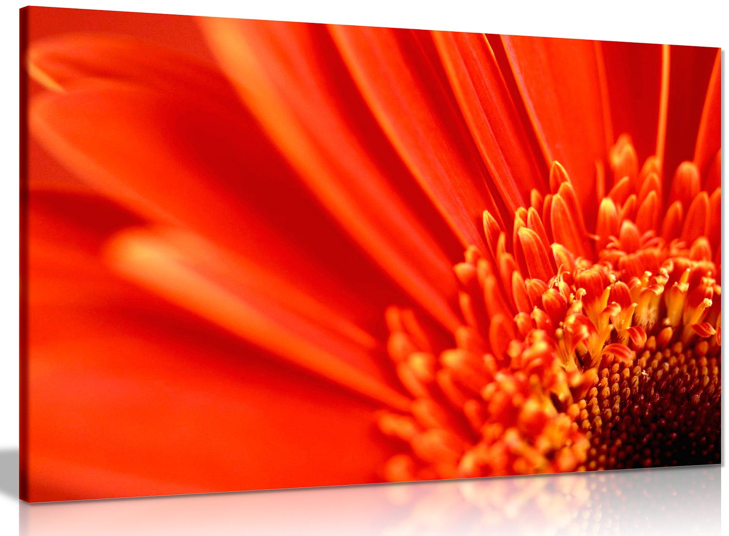 Orange Flower Floral Canvas Wall Art Picture Print eBay